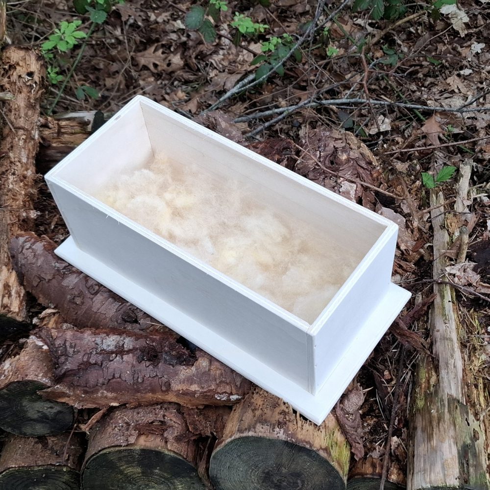 Papegaai Dieren grafkist Mini Long 35cm 4