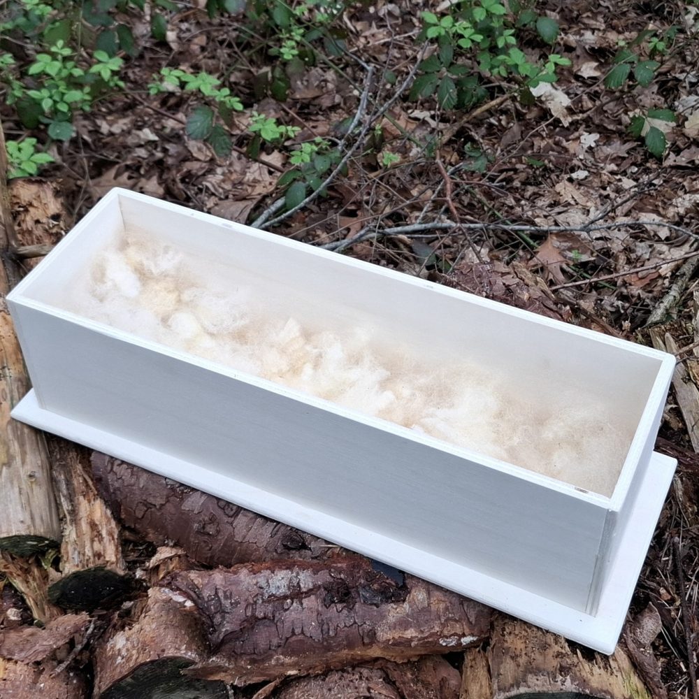 Papegaai dierengrafkist lengte 50cm